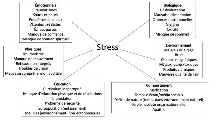 Stress et charge toxique globale - Franchement Santé